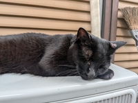 クリックすると大きくなります