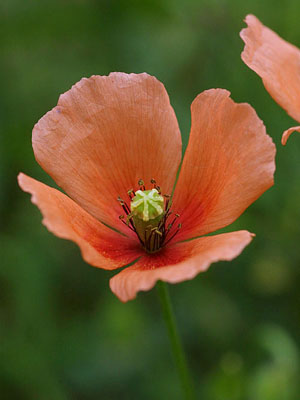 �i�K�~�q�i�Q�V