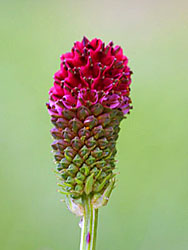 �������R�E